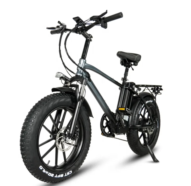 20 Inch Fat Tire 750W Motor Ebike 18Ah Lithium Battery Ebike Electric Mountain Ebike For Adult Electric Bicycle