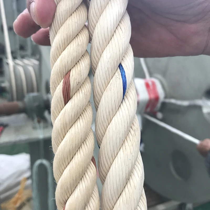 3 Strand Twisted PP Danline 6MM 19MM Polypropylene Polysteel Trawler Fishing Rope 220m Length Color Plastic Rope Agriculture Use