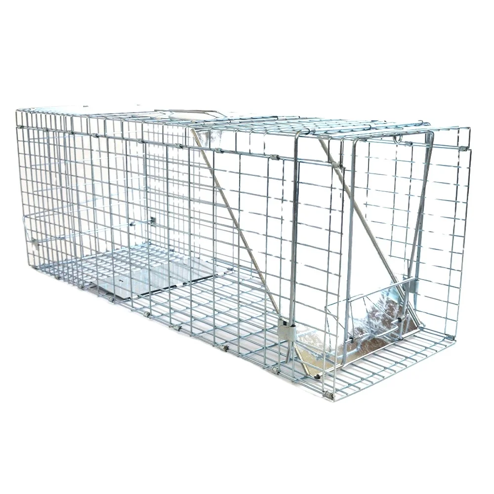Collapsible One-Door Live Animal Cage Trap for Stray Cat Groundhog