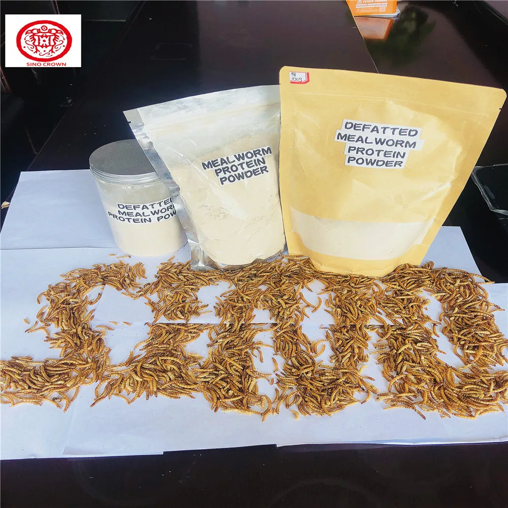 Protein powder  feed additives  mealworm powder food additive insect protein insect powder insect flour