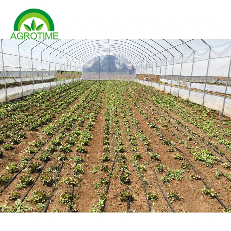 CHINA AGROTIME The commercial agricultural cheapest plastic tunnel greenhouses for sale