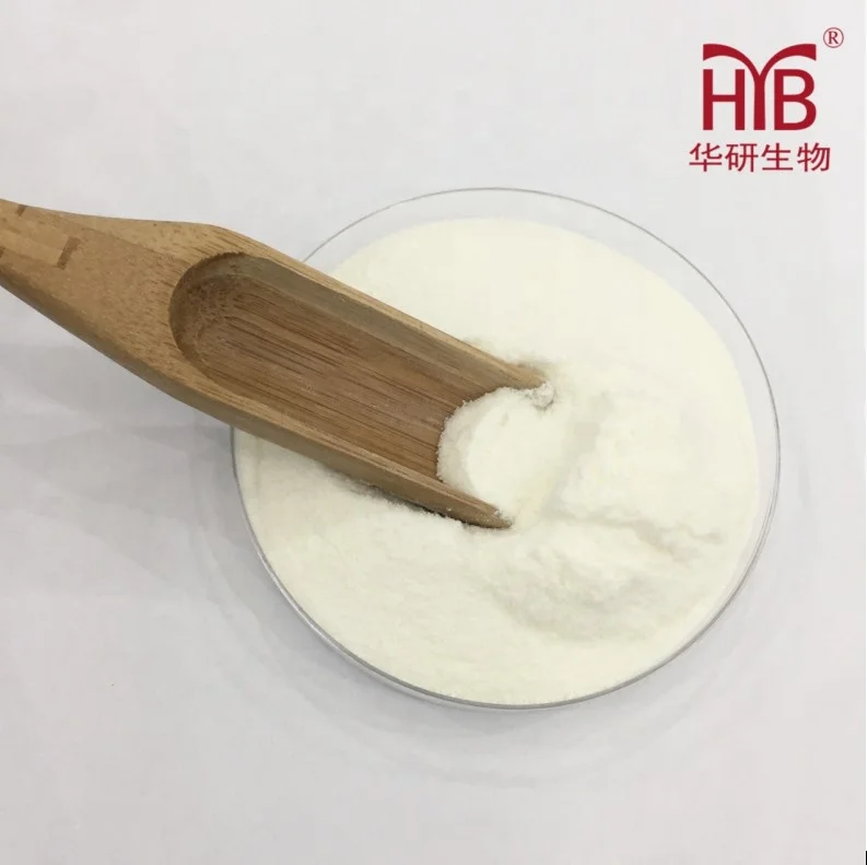 OEM/ODM elastin peptide powder bovine elastin collagen peptides for beauty and skincare