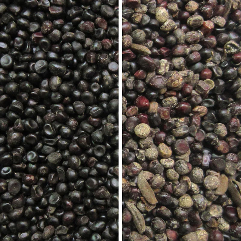 High-precision, high-efficiency separator Pumpkin Seed Screening Machine Grain seed classifier Color Sorter