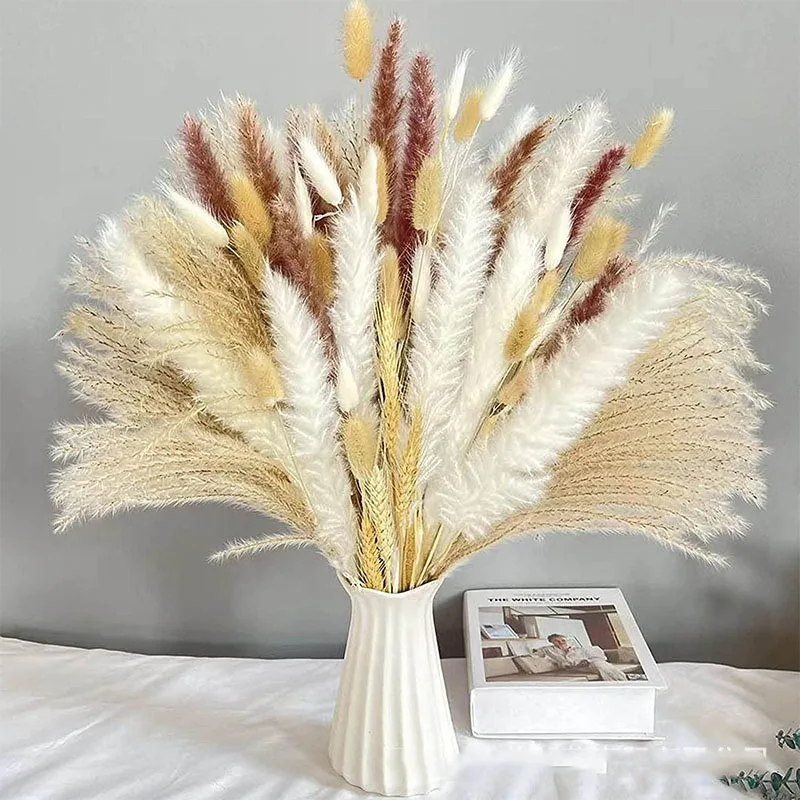 Natural Bouquet Fluffy Dry Flower Wholesale Decorative Vase Pampas Grass Flower Pompous Grass Dried Pampas Grass