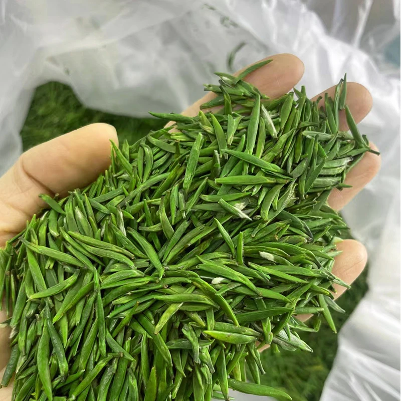 chinese green tea supermarket retail hot selling wholesale manufacturer high quality premium sprout green tea