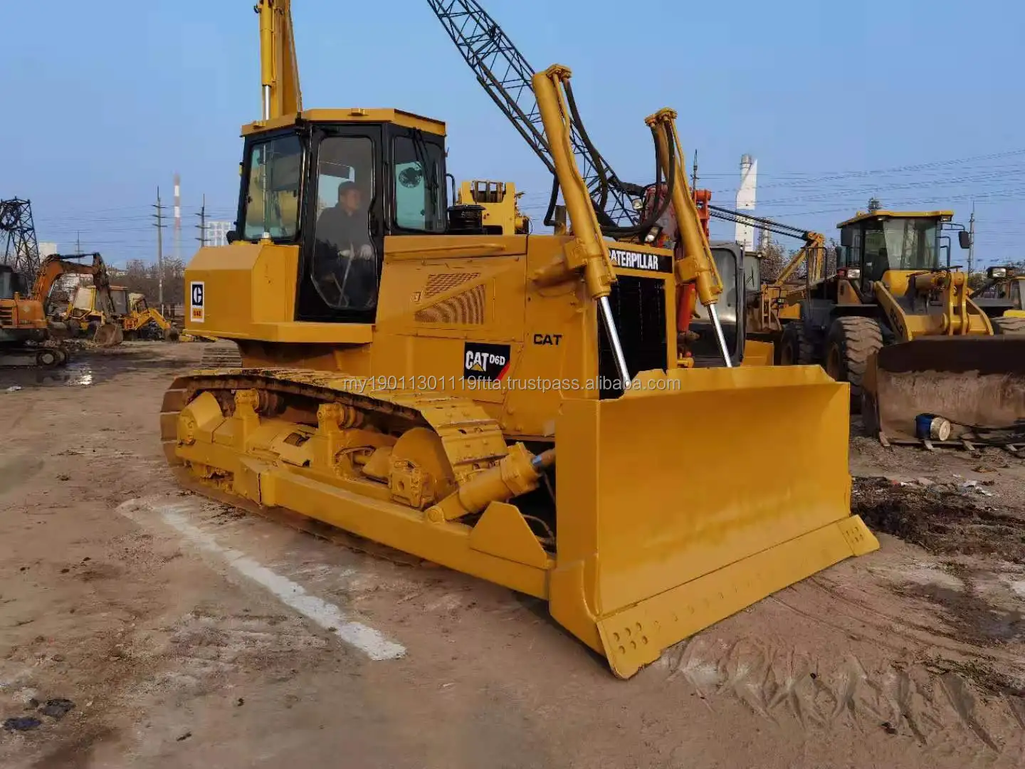 cat d6d (1).jpg