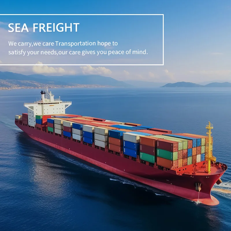 Shipping ddp door to door freight forwarder fcl lcl China to mexico shipping agent sea freight forwarder to usa