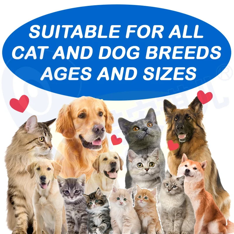 Dog Health Care Products Joint Supplement Msm Flex Extend Muscles Health Advanced Hip & Joint - Dog Joint Supplement