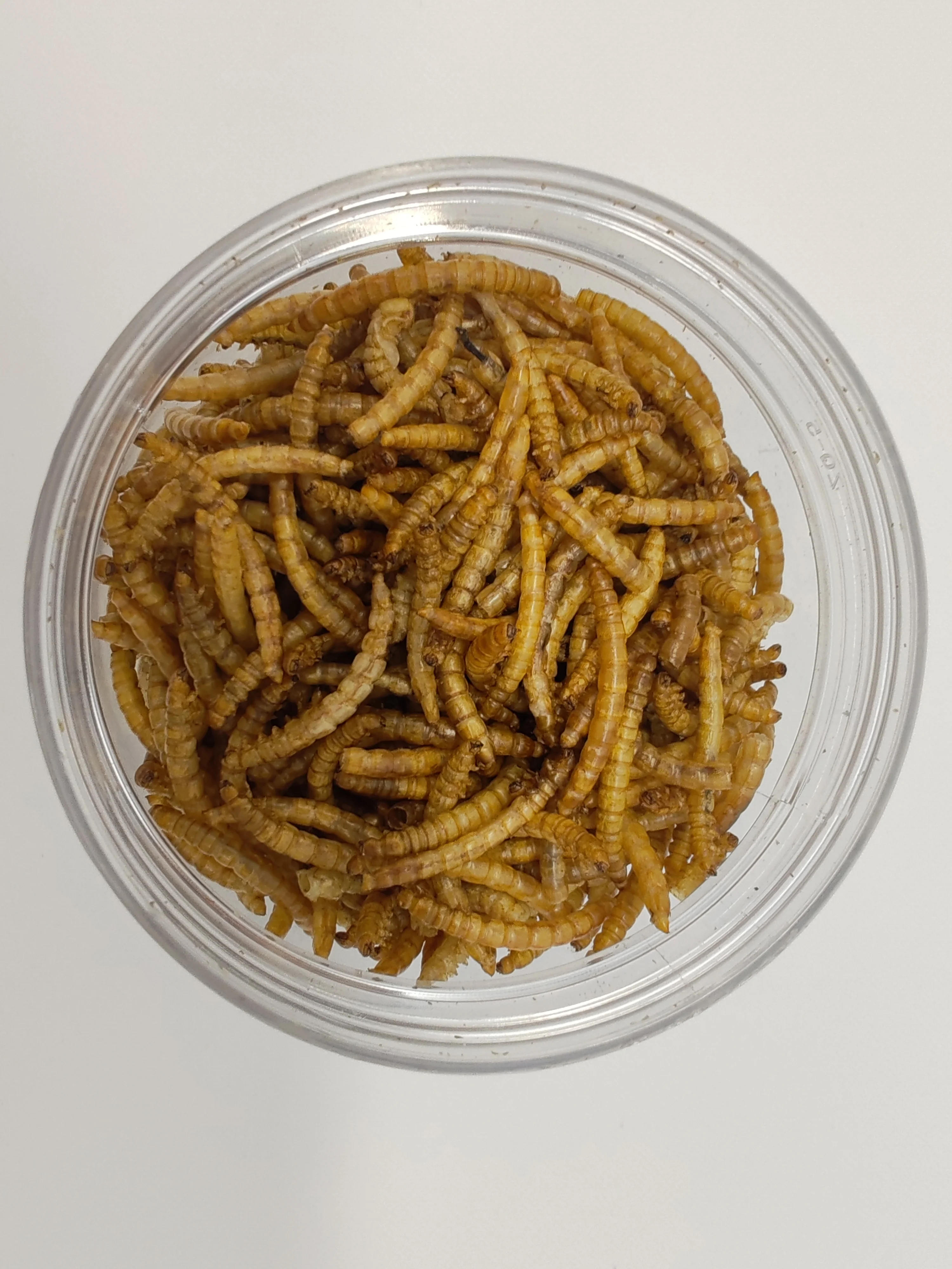 Dried mealworms with OEM service Excellent Quality