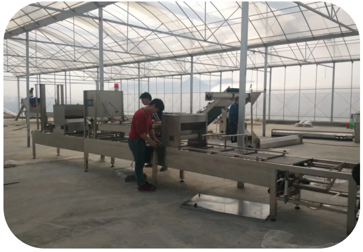 
Hot selling GGSCX-1000 high efficiency automatic nursery seeding machine with PLC control and man-machine touch screen 