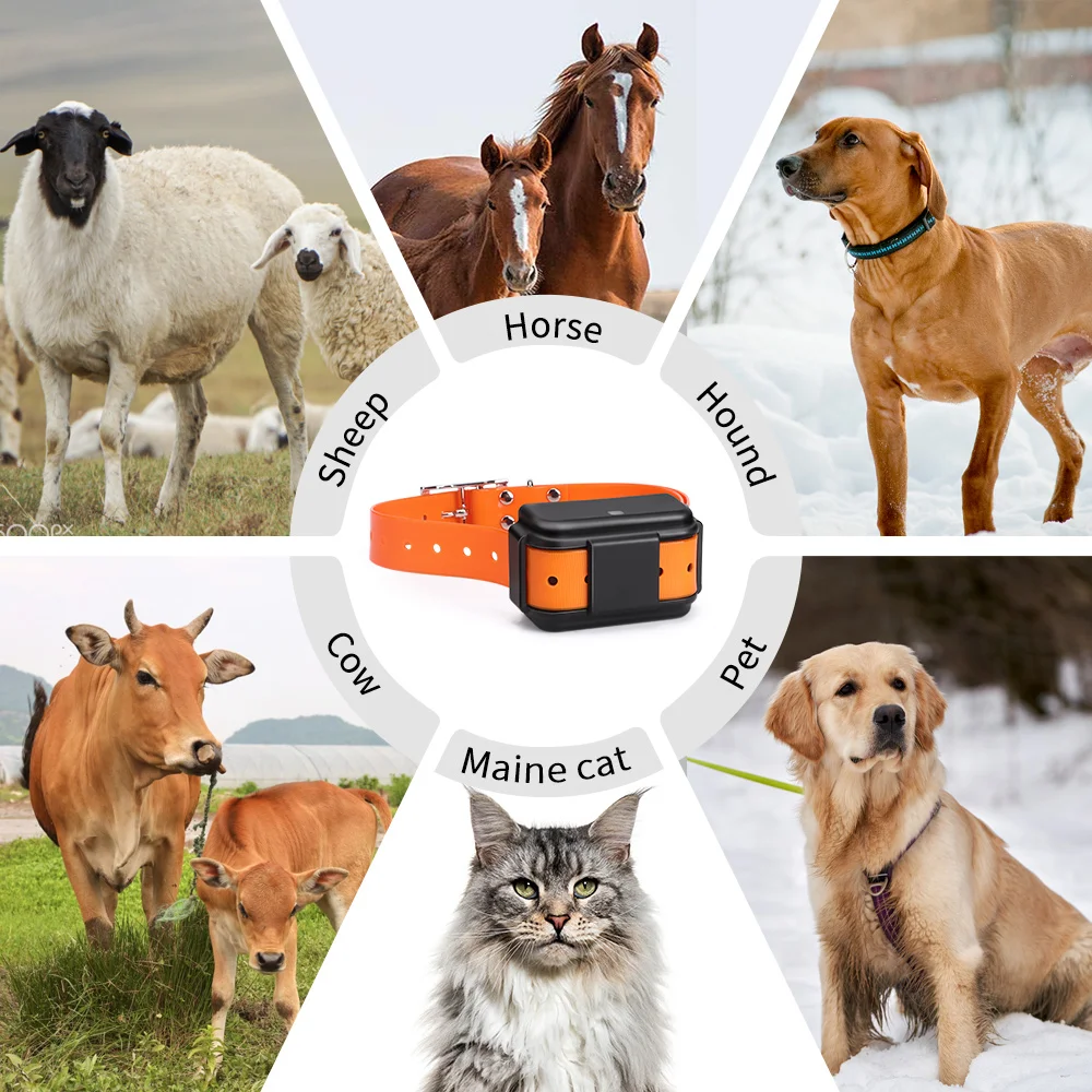 Micodus New MP50G Hound Sheep Cattle Satellite Location 4G Animals Gps Device Real Time Gps Pet Dog Collars Tracking Locator