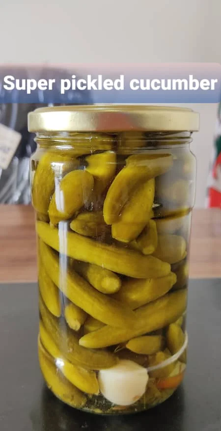 Wholesale Factory Direct Supply First Grade/Premium Pickled Cucumber - High Quality Salted Grapevine Leaves in Jar