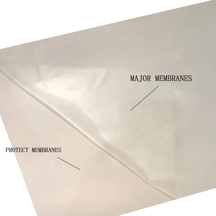 100 meters long Hot melt adhesive film Sales PES raw material Size Customization Strong Tear Resistance Adhesive Stretch Film