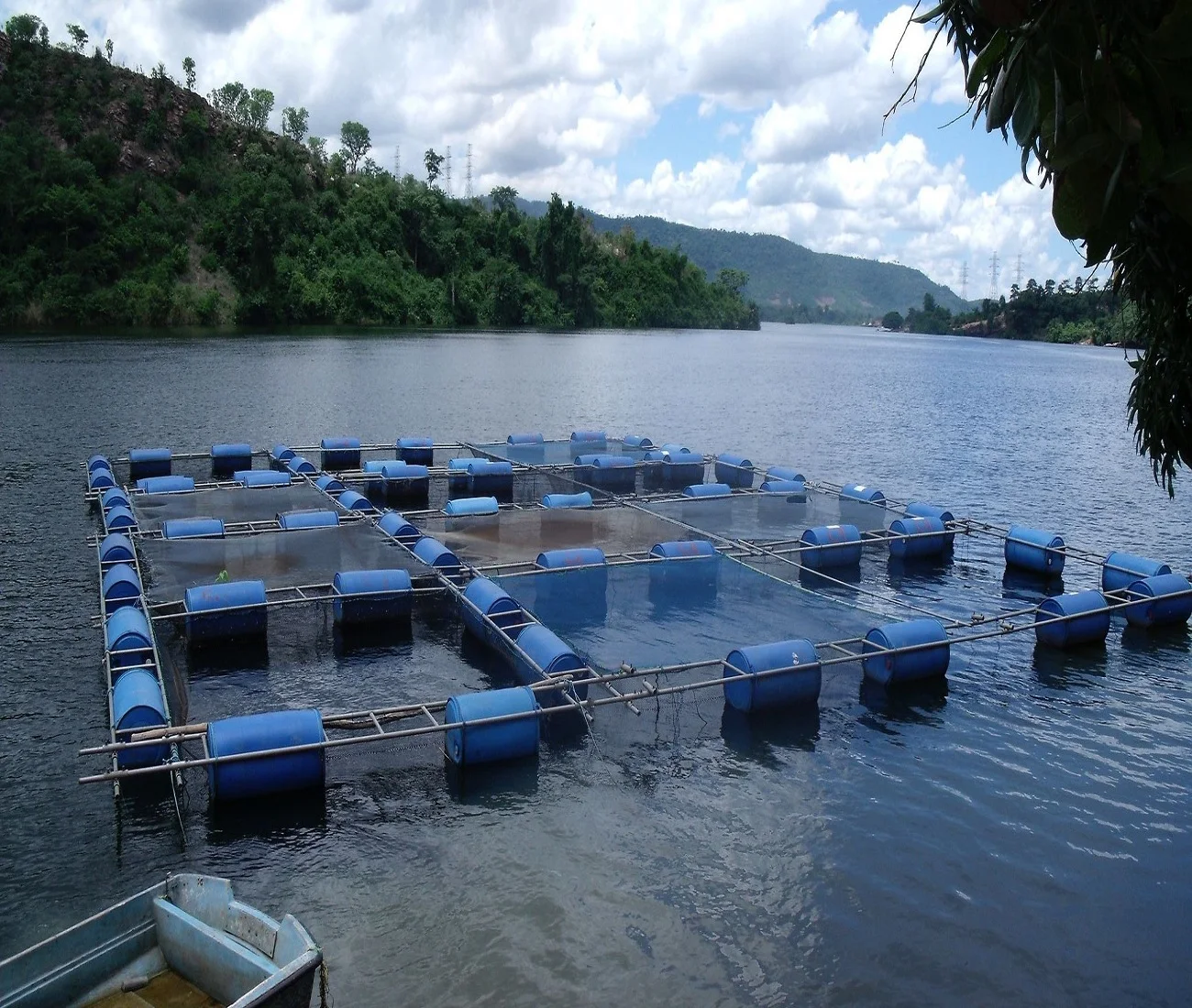 Square HDPE Fish Farming Cage Aquaculture Equipment Fish Trap Net Cage Tilapia Fish Cages