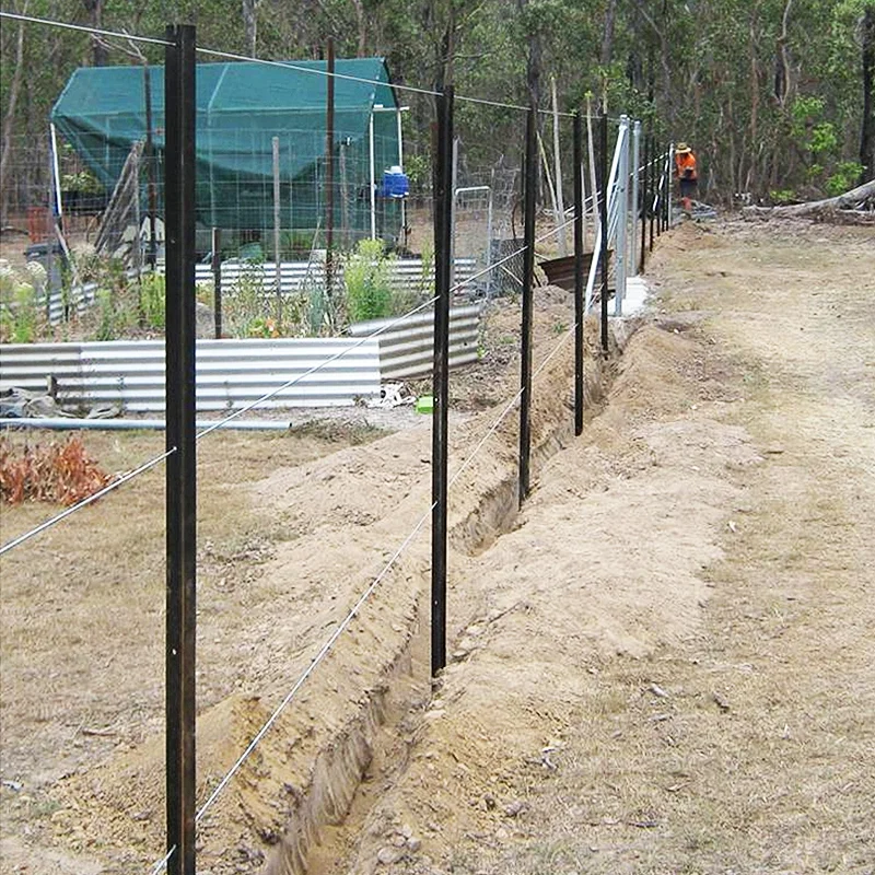 Factory Price Australian Standard Customized Size and Weight Rail Steel Y Post / Star Picket For Farm Fence Posts