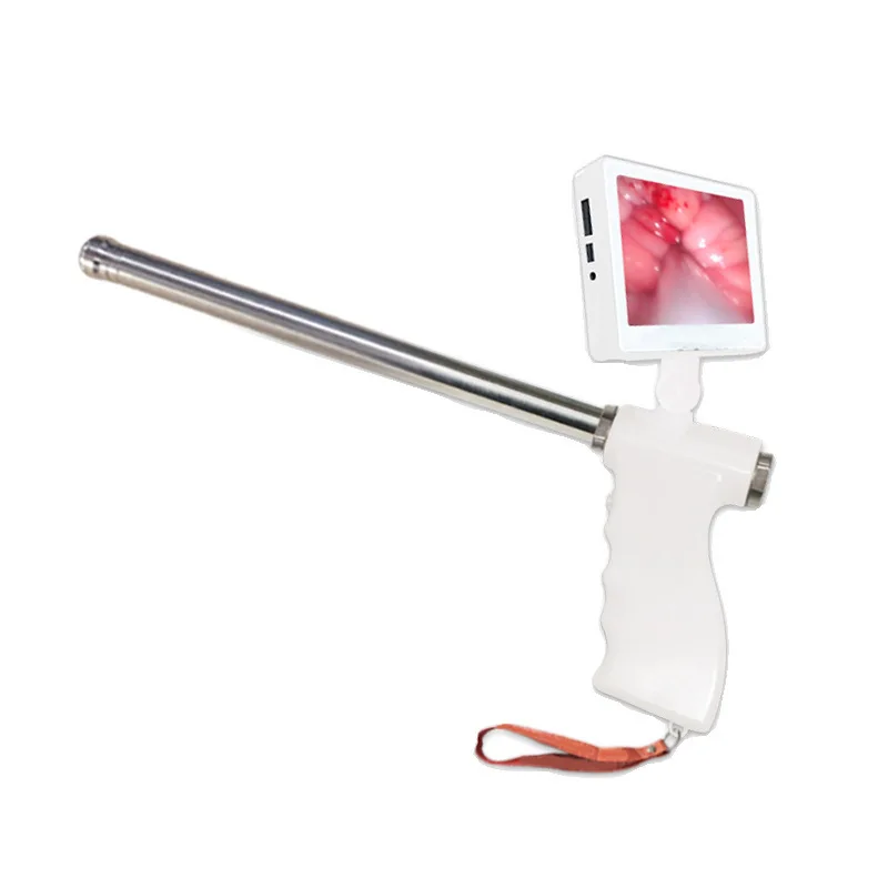 
Veterinary rotatable visual insemination gun for pig cows sheep potable to use 
