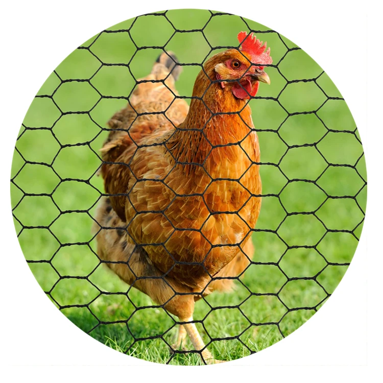 Оптовая цена Шестигранная проволочная сетка оцинкованная или горячеоцинкованная BWG19 BWG18 0 55 мм