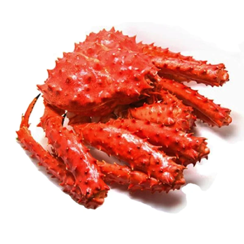 Best Frozen Red Norwegian king, Alaskan King Crab Legs Boiled King Crab Legs in USA Style Time Packaging Weight Shelf
