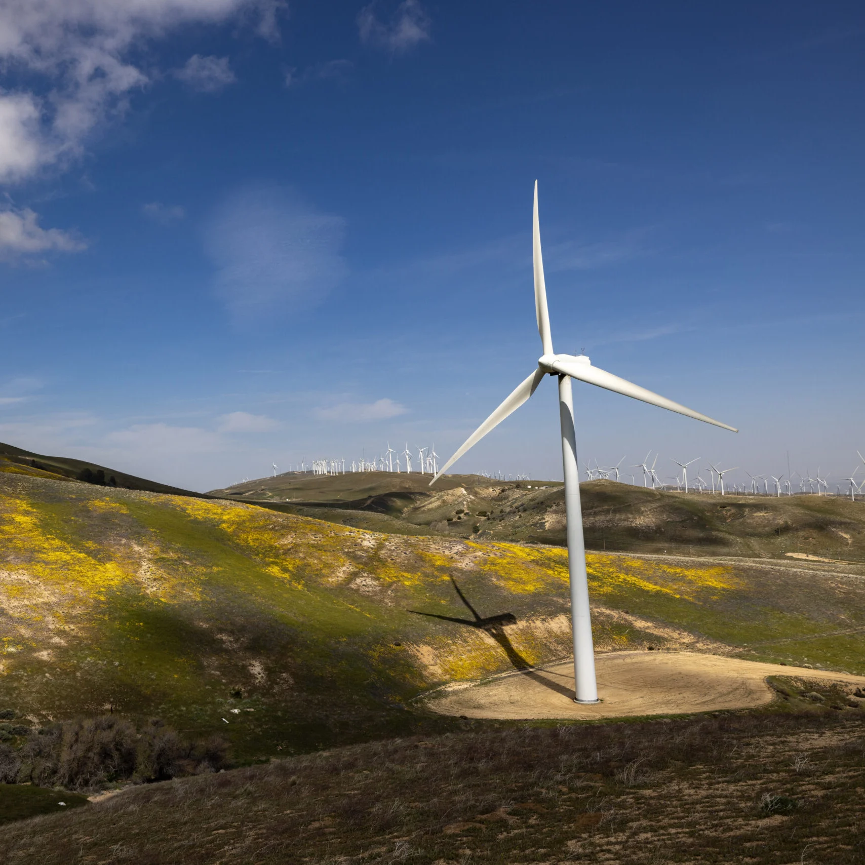 Wind Turbine 2KW 3KW 5KW 10KW On Grid MPPT Solar Hybrid Controllers