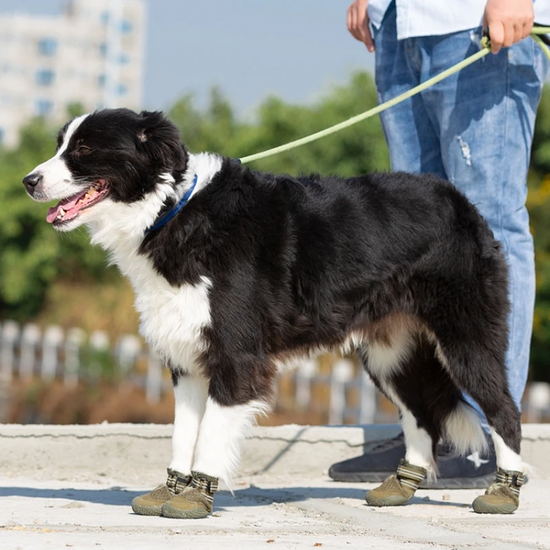 Winhye Waterproof Windproof Dog Boots Soft Mesh Design Comfortable Durable Pet Outdoor Shoes Sports Shoes Solid 10pcs Stocked