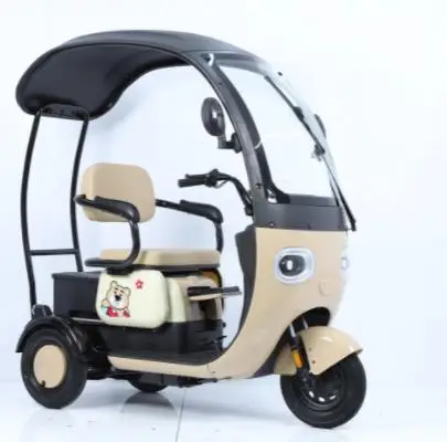 Factory customized Electric cargo tricycle electric rickshaw for cargo with good price