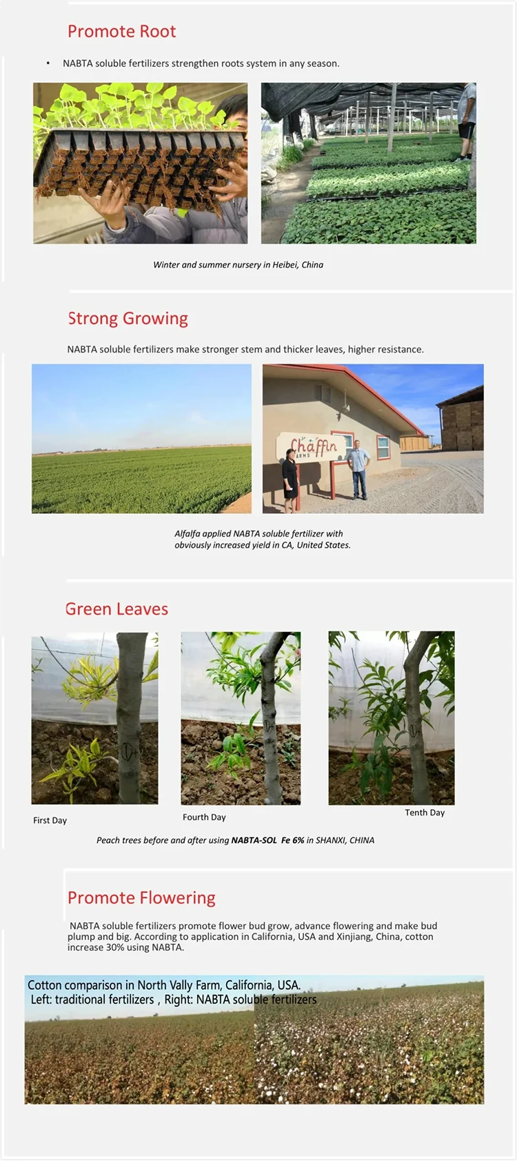 monoammonium phosphate price