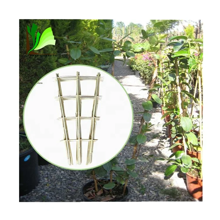 Wholesale Natural Garden Bamboo Trellis