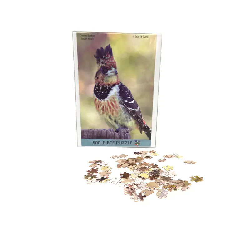 500 шт., развивающие игрушки-пазлы в виде попугаев