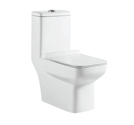 Handicapped Dual-flush WC toilet Bowl One Piece Toilet