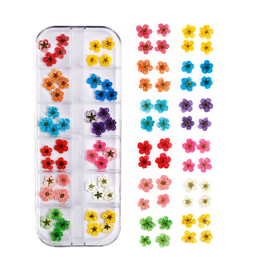 New Styles Mini Dried Pressed Flowers Dried Narcissus for Nail Art Stickers DIY Manicure Charms