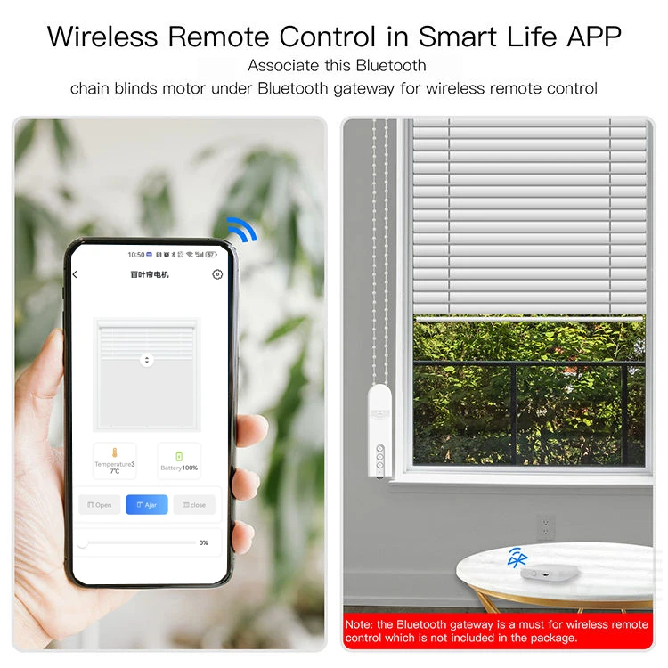 Tuya Zigbee Chain Motorized Roller Blinds Shades Shutter Drive Motor APP Voice Remote Control Window Blinds