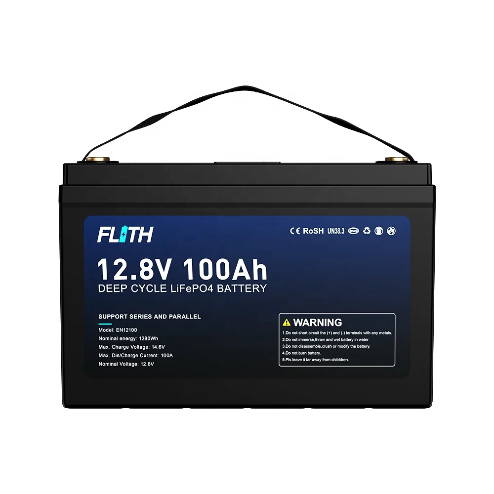 Flith renewable energy BMS lifepo4 rechargeable battery packs replace gel battery 12v 24V 100AH 200AH lithium ion battery