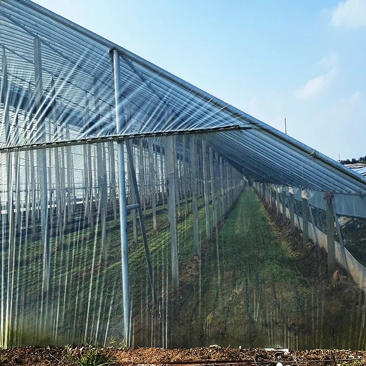 po greenhouse film uv treated polythene film greenhouse blue etfe film greenhouse