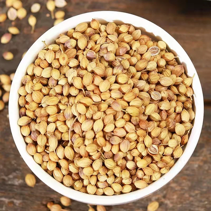 Wholesale Spices Supply Good Quality Whole Good Price Dry Coriander Seeds