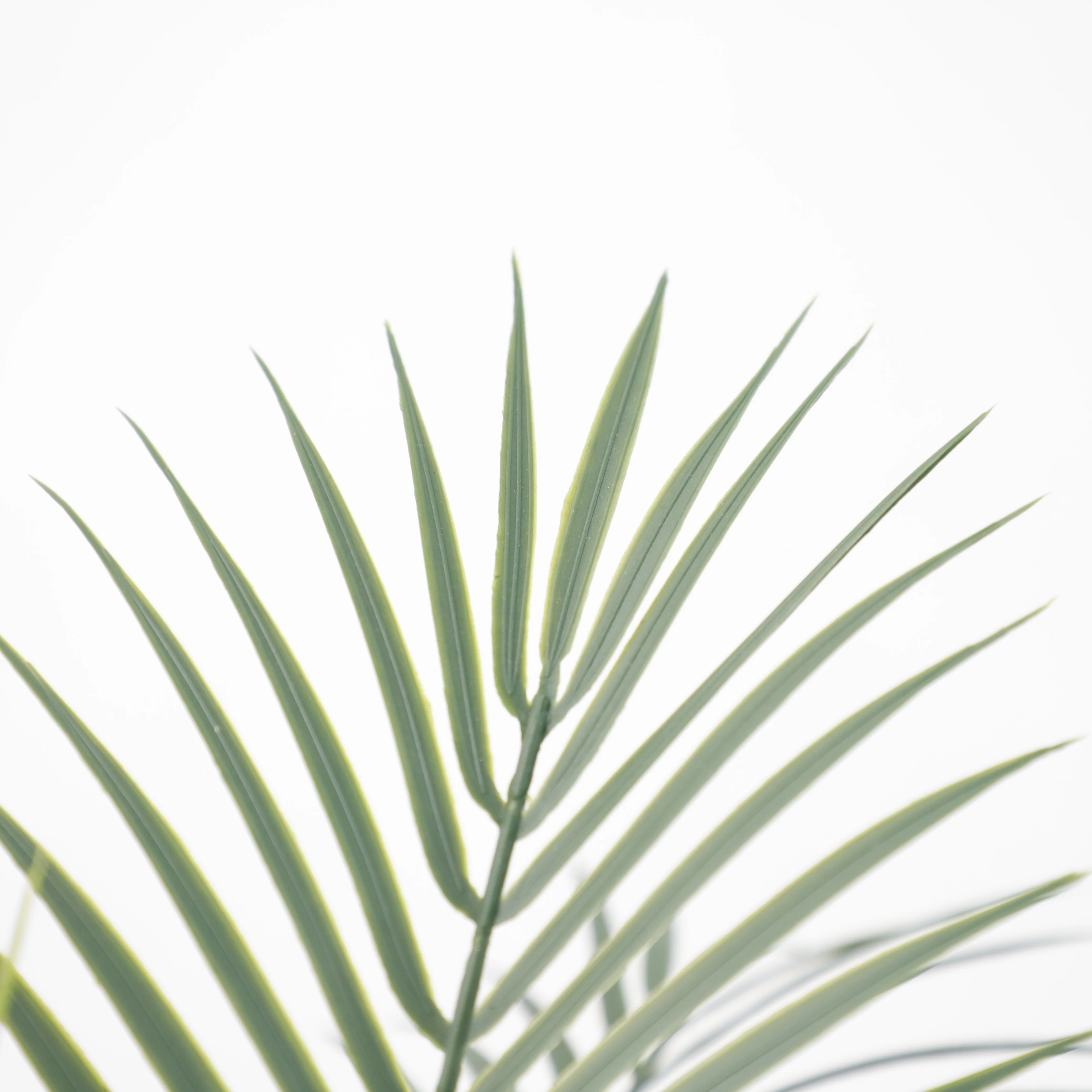 Morden Nordic Home Decor Plastic Fake Plants Artificial Palm Tree Interior Decor Room Fake Palm Trees Artificial Kwai Tree