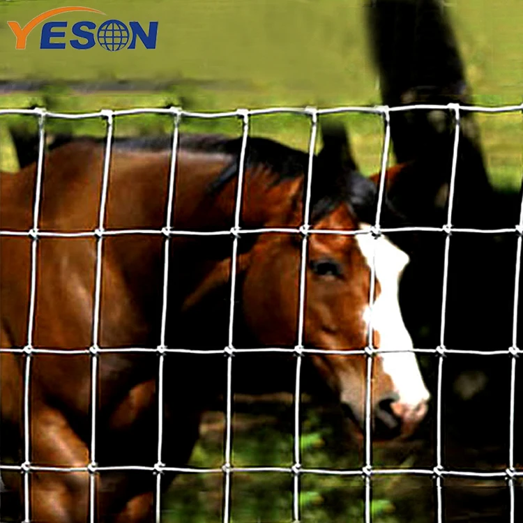 Grassland Filed Cattle Horse Cow Animal Farm Wire Mesh Fence with Y T Post