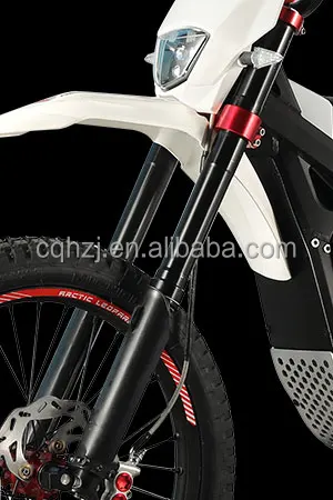 CQHZJ Wholesale Bike Electric Motorcycle Electric Motorcycle Arctic Leopard  Snow Leopard E X 700