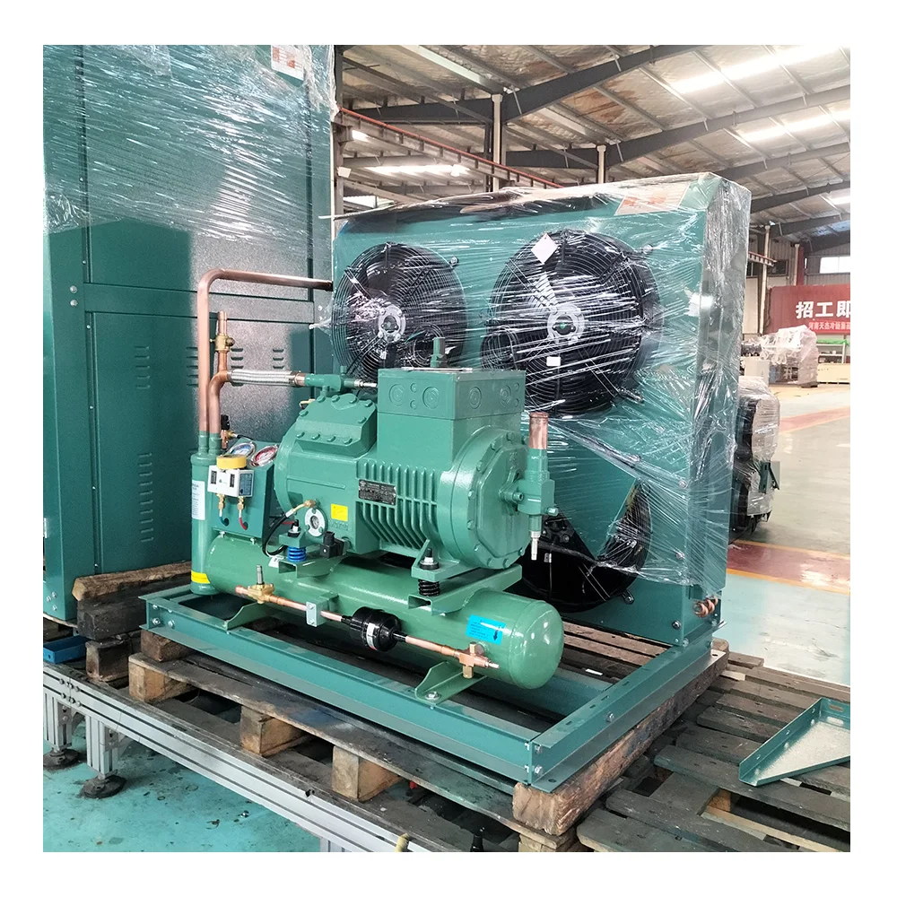 Top quality mushroom preservation warehouse walk in coolers refrigeration condensing unit