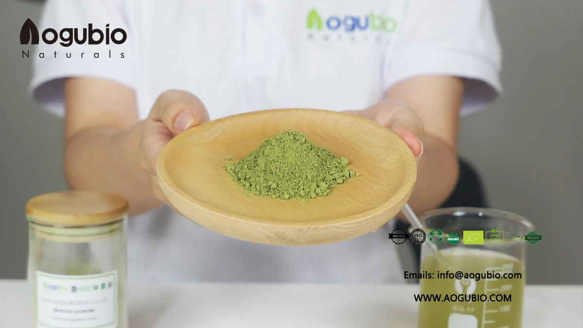 Бесплатный образец качества зеленый чай Matcha порошок