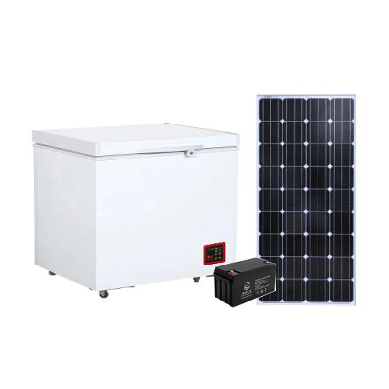 Electronic temperature controller 12v 24v dc solar freezer BD/BC-100B