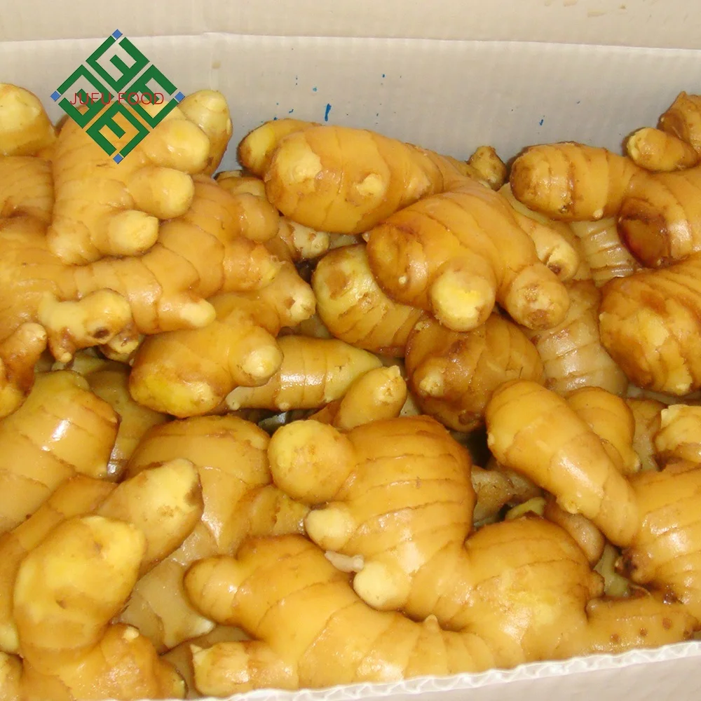 2023 Yellow Fresh Ginger of Carton and PVC Box Packing