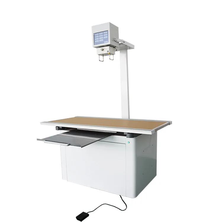 Leshypet  Ce Certificated Approved Small Animal Fluoroscopy Fixed Veterinary Dog DR X Ray Machine