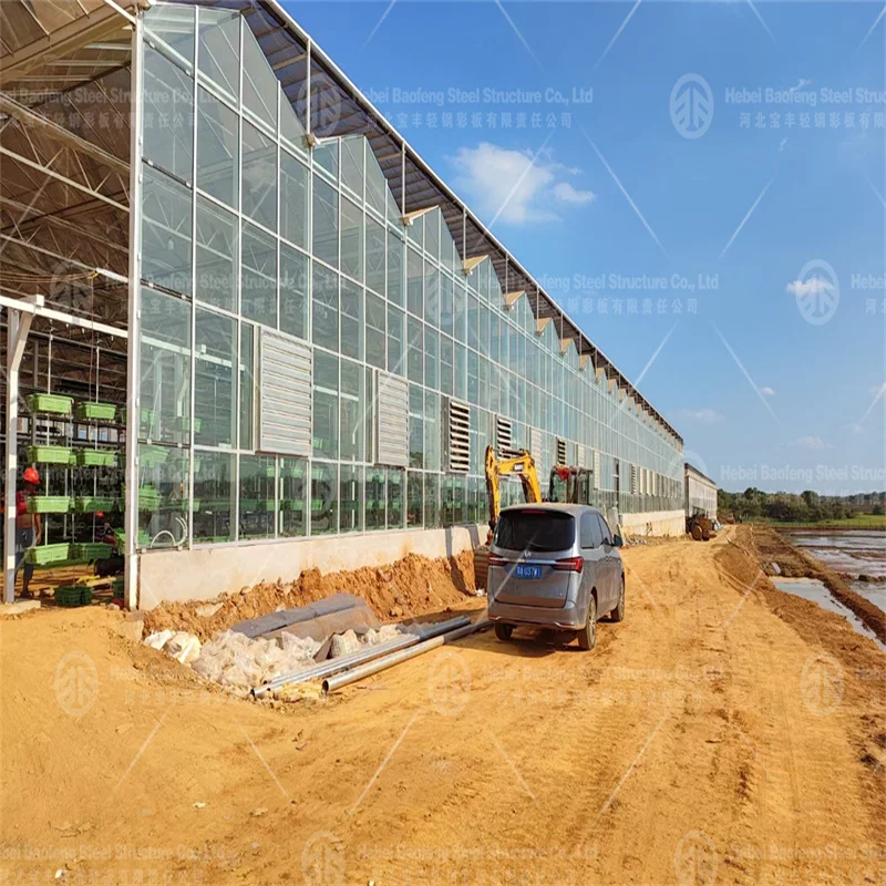 Low-Cost Tunnel Greenhouse for Efficient Crop Production