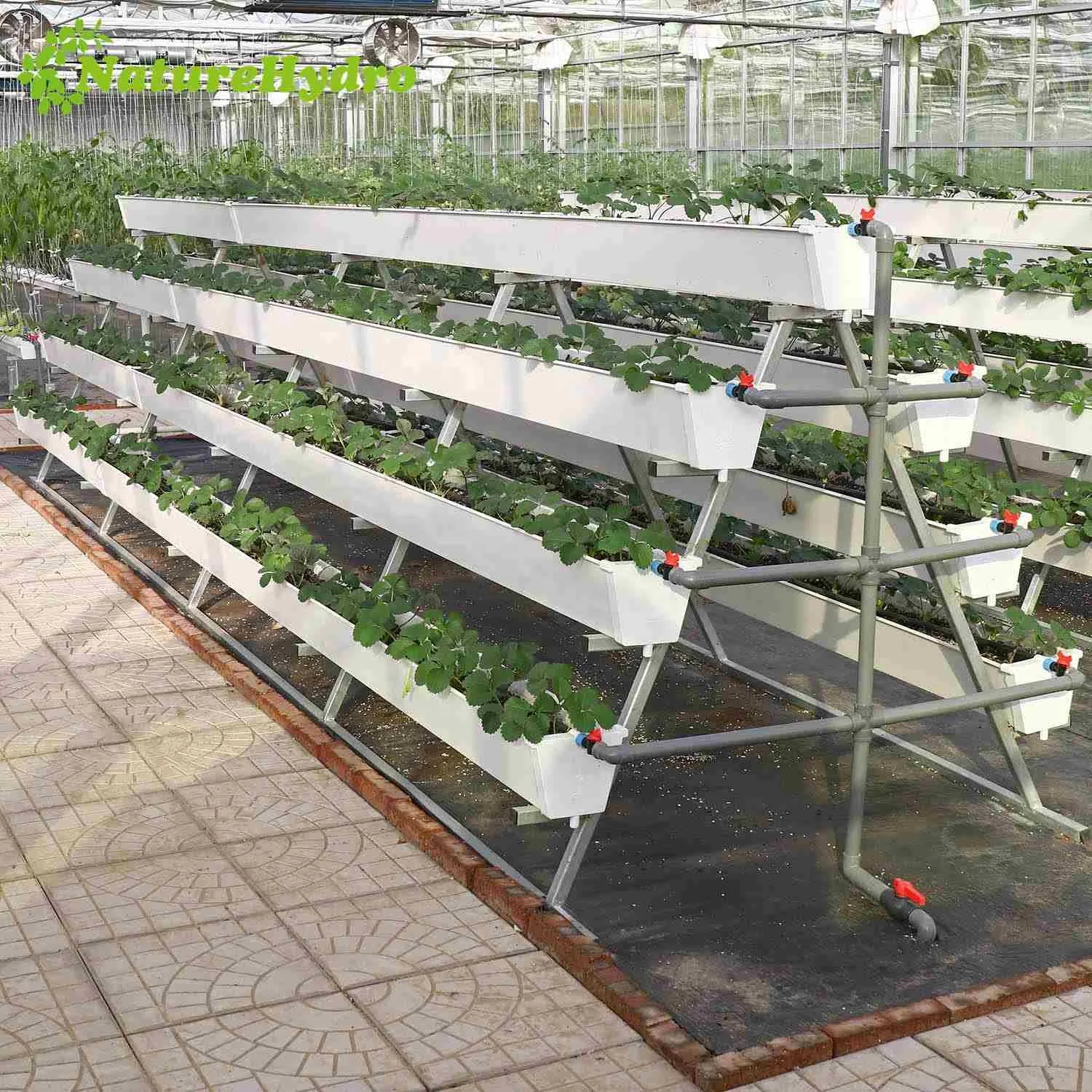 Vertical hydroponic channels pvc gutter grow system for strawberry