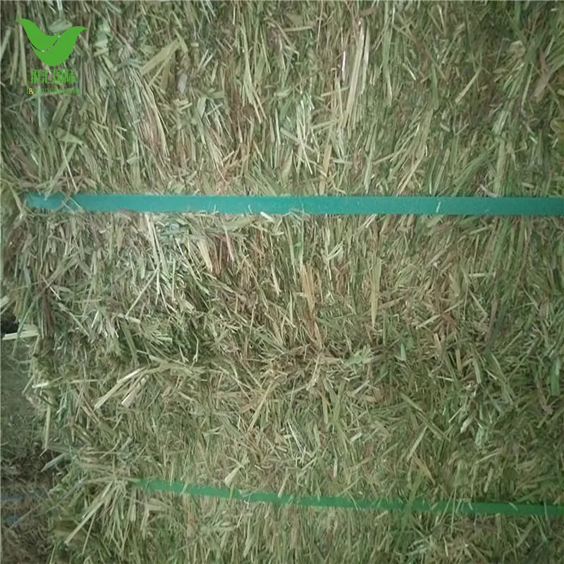 Dairy Horse Premium 1st cut timothy hay for sale