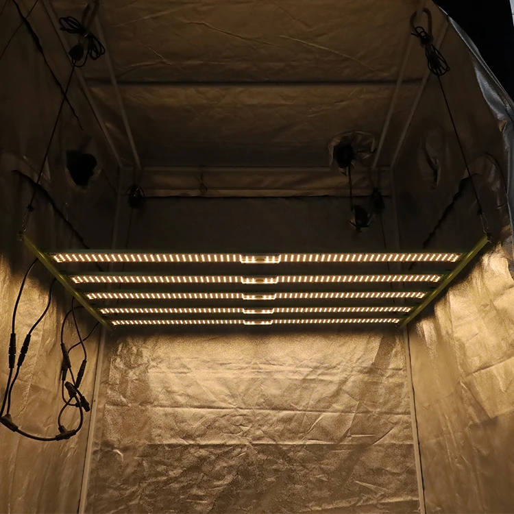 KingBrite led 600W Lm301h/Lm301B quantum bar W55 series strip led bar grow light