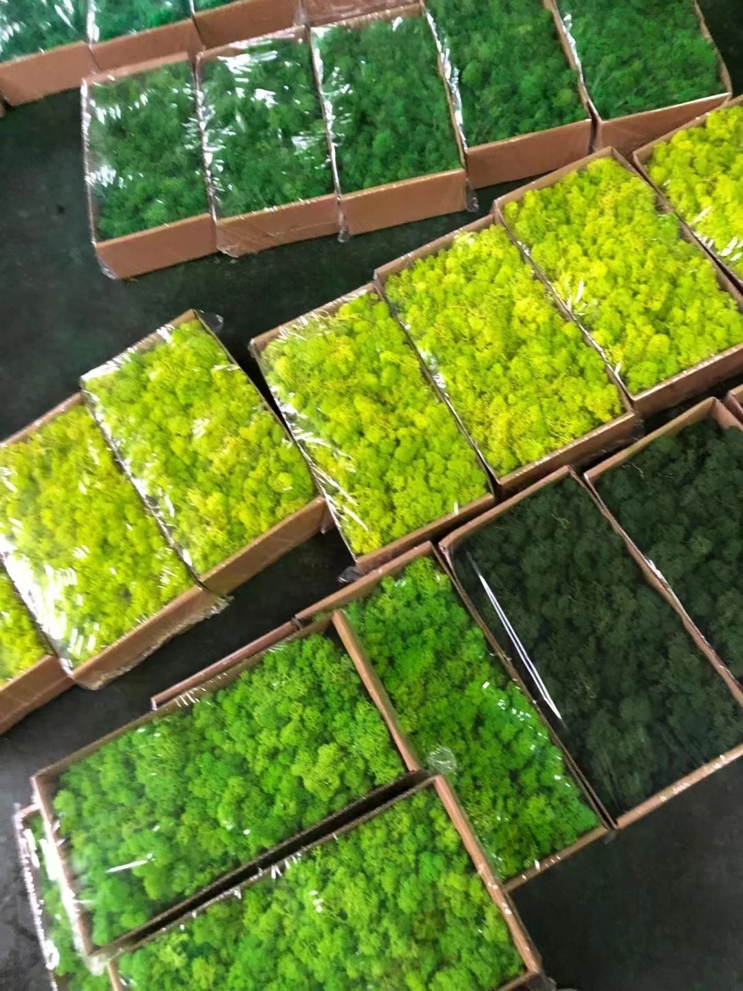 Green Moss Decorative Preserved Artificial Wall Custom-made