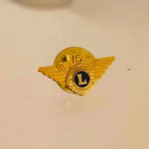 Hot Sale Custom Fashion Glod Lion Club Hard Enamel Lapel Pin