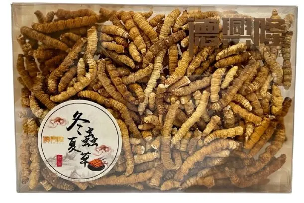 High Nutritional Value Deep Cleaning Tibet Mushroom Extracts Cordyceps Adenosine