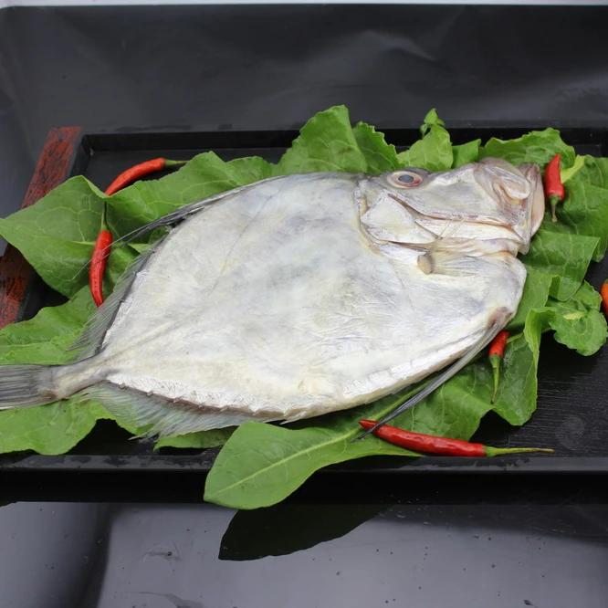 
frozen john dory fillet skin on 